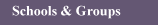 Schools and Groups